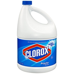 Picture of Clorox Regular Bleach