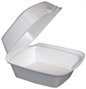 Picture for category Foam Hinged Containers