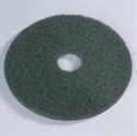 Picture of Platinum 17" Green Scrub Pad 5 Platinum Floor Pads