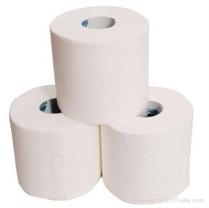Picture of Livi Basic 2 Ply Toilet Tissue