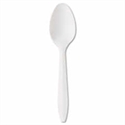 Picture of Platitnum Medium White Polypropylene Teaspoon